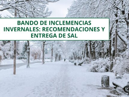 Imagen de la noticia Plan de Inclemencias Invernales: entrega de sal en caso de Nivel I