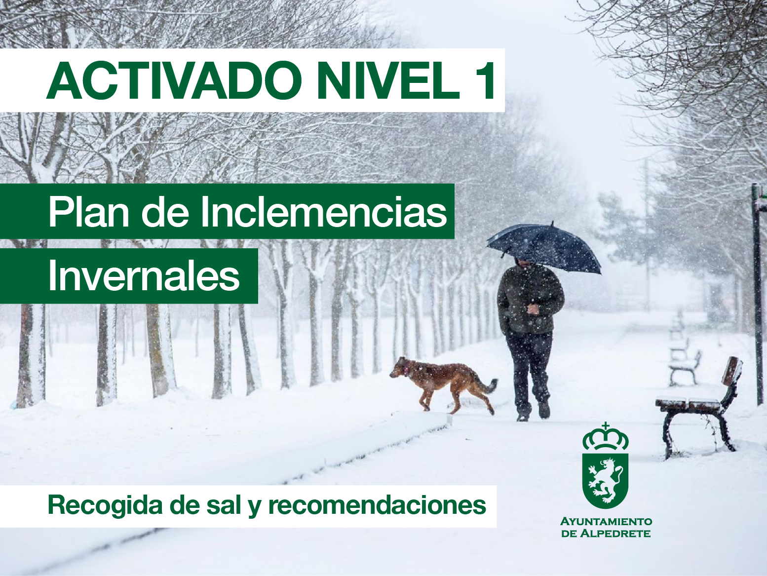 Imagen de la noticia Activado el nivel 1. Plan de Inclemencias Invernales: entrega de sal