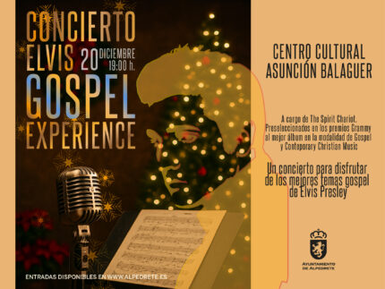 banner cultural 345x260 elvis-01