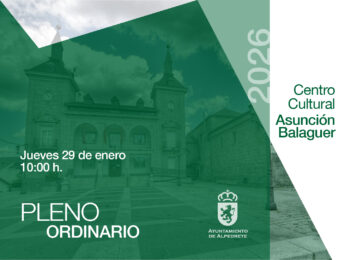 Imagen de la noticia Pleno ordinario