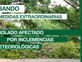 Activadas medidas extraordinarias sobre arbolado urbano privado, por daños tras meteorología adversa Imagen de la noticia Activadas medidas extraordinarias sobre arbolado urbano privado, por daños tras meteorología adversa