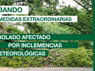 Imagen de la noticia Activadas medidas extraordinarias sobre arbolado urbano privado, por daños tras meteorología adversa