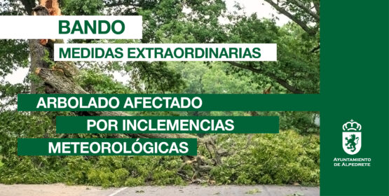 Activadas medidas extraordinarias sobre arbolado urbano privado, por daños tras meteorología adversa Imagen de la noticia Activadas medidas extraordinarias sobre arbolado urbano privado, por daños tras meteorología adversa
