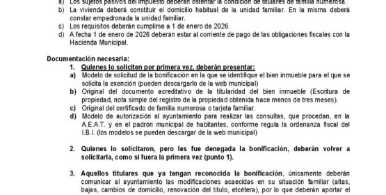 Imagen de la noticia Bonificación del IBI para familias numerosas