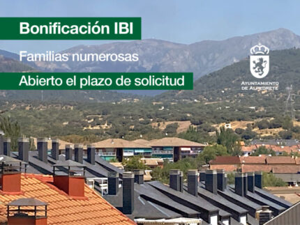 Imagen de la noticia Bonificación del IBI para familias numerosas