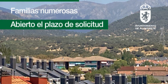 Imagen de la noticia Bonificación del IBI para familias numerosas