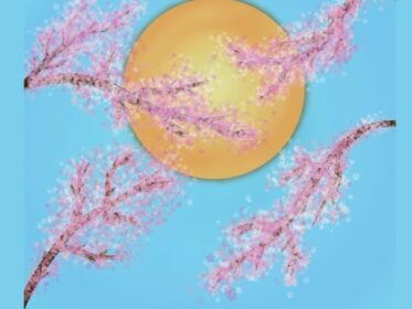 Imagen de la noticia Boutique del arte y artesanía de autor