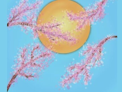 Imagen de la noticia Boutique del arte y artesanía de autor