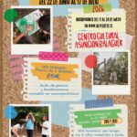 Imagen de la noticia Campamentos urbanos, Centro Cultural Asunción Balaguer