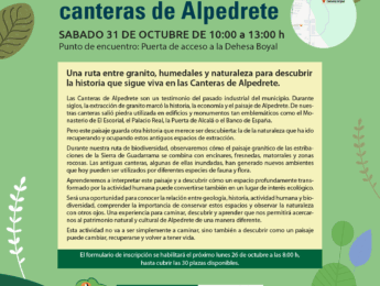 Biodiversidad en las canteras de Alpedrete Imagen de la noticia Biodiversidad en las canteras de Alpedrete