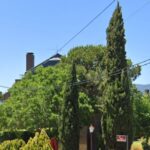 Imagen de la noticia Inventario del arbolado urbano de Alpedrete