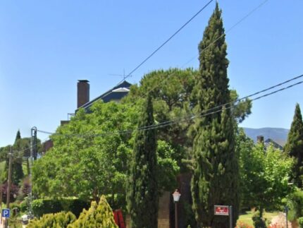 Imagen de la noticia Inventario del arbolado urbano de Alpedrete